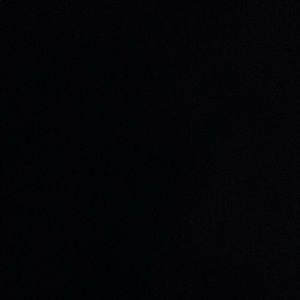 Meet your Posher, Bella